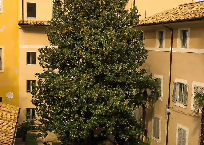 אכסניה Orsa Maggiore For Women Only רומא